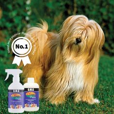 Plush Puppy Hajfésülési termék OMG Ready To Use 500 ml