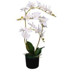shumee műorchidea virágcseréppel 30 cm fehér