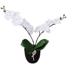 shumee műorchidea virágcseréppel 30 cm fehér