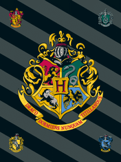 Jerry Fabrics Harry Potter HP067 gyapjú takaró
