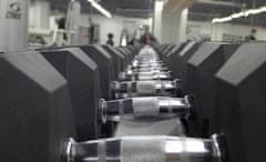 Body-Solid PROFI HEXA Bodysolid egykezes súlyzók 1- 1 50kg 2 x 47,5 kg