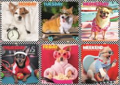 Trefl Puzzle Happy dogs 200 db