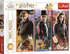 Trefl Rejtvény Harry Potter: A mágia és a varázslatok világában 200 darab