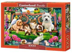Castorland Puzzle Háziállatok a parkban 1000 db