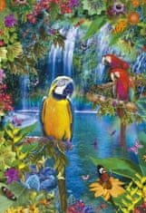 EDUCA Trópusi papagájok paradicsoma puzzle 500 db
