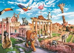 Trefl Rejtvény Vicces városok: Vad Róma 1000 darab