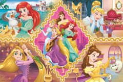Rejtvény Disney hercegnők és kalandjaik 160 darab
