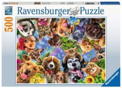 Ravensburger Kutyás szelfi puzzle 500 darab