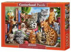 Castorland Puzzle Cat house 2000 db