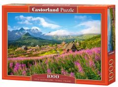 Castorland Dolina Gąsienicowa puzzle, Tátra 1000 db