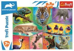 Trefl Puzzle Animal Planet: Egzotikus állatok világa 200 db