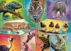 Trefl Puzzle Animal Planet: Egzotikus állatok világa 200 db