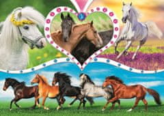 Trefl Puzzle Gyönyörű lovak 200 db
