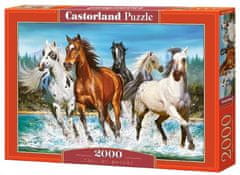 Castorland Puzzle Call of nature 2000 db