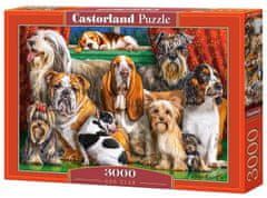 Castorland Kutyaklub puzzle 3000 darab