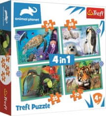 Trefl Puzzle Animal Planet: Az állatok titokzatos világa 4 az 1-ben (35,48,54,70 darab)