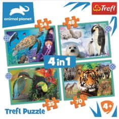 Trefl Puzzle Animal Planet: Az állatok titokzatos világa 4 az 1-ben (35,48,54,70 darab)
