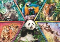 Trefl Puzzle Animal Planet: Animal Kingdom 1000 db