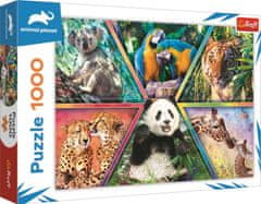 Trefl Puzzle Animal Planet: Animal Kingdom 1000 db