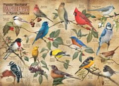 Cobble Hill Puzzle Popular Birds of North American Backyards 1000 db
