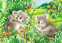 Ravensburger Puzzle Koalák és pandák 2x24 darab