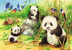 Ravensburger Puzzle Koalák és pandák 2x24 darab