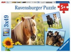 Ravensburger Puzzle póni 3x49 darab