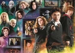 Trefl Rejtvény Harry Potter: A varázslóvilág 1000 darab