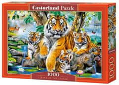 Castorland TIGRES BY THE RIVER puzzle 1000 db