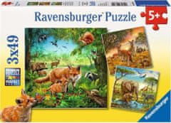 Ravensburger Puzzle Animals 3x49 db