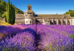 Castorland Puzzle Levendula mező Provence-ban, Franciaországban 1000 db