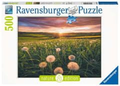 Ravensburger Puzzle Pitypang a naplementében 500 db