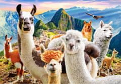 Castorland Puzzle Selfie láma Macchu Picchuban 1000 darab