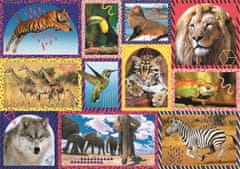 Trefl Puzzle Animal Planet: Vad természet 1000 db