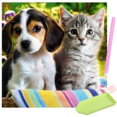 Malatec ISO gyémántfestés - kutya és macska