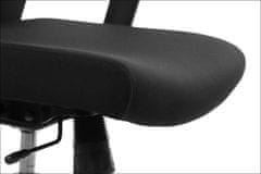STEMA Forgó ergonomikus irodai szék RIVERTON F/H, nylon talp, állítható kartámasz, szinkron mechanizmus, állítható ülés (elöl-hátsó), hálós háttámla, fekete