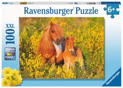 Ravensburger Puzzle Shetland pónik XXL 100 db