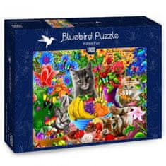 Blue Bird Vicces kiscicák puzzle 1000 darab