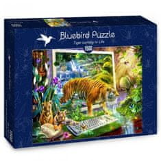 Blue Bird Az életre kelő tigrisek puzzle 1500 darab