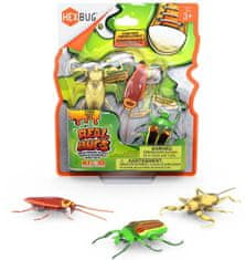 Hexbug Real Bugs - 3 Pack