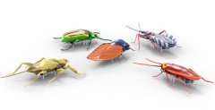 Hexbug Real Bugs - 5 Pack