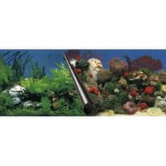 EBI Akvárium háttér Kő+Korall 60 x 30 cm
