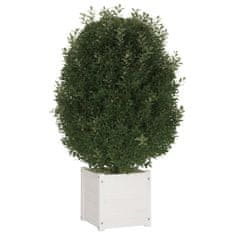 Greatstore 2 db fehér tömör fenyőfa kerti virágtartó 40 x 40 x 40 cm