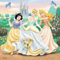 Ravensburger Rejtvény Disney hercegnők: Álmok 3x49 darab