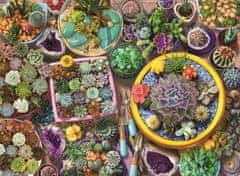 AnaTolian Puzzle Kaktusz virágcserepek 1000 db