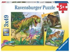 Ravensburger Puzzle Igaz vonalzók 3x49 darab
