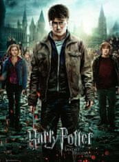 Harry, Ron és Hermione XXL puzzle 300 darab