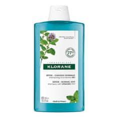 Méregtelenítő sampon normál hajra Menthe (Detox Shampoo) (Mennyiség 400 ml)