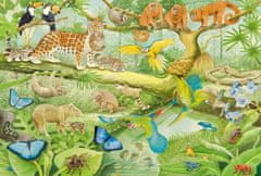 Schmidt Puzzle Állatok a dzsungelben 100 db
