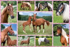 Schmidt Puzzle Gyönyörű lovak 150 db